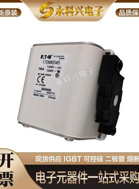 适用快速熔断器保险丝170M6696/6697/4738/4739/4740/4741/4742