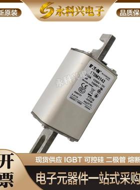 适用快速熔断器保险丝170M3492/3493/3494/3495/3496/3497/4488