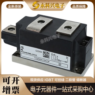 英飞凌可控硅二极管TT250N12KOF/08KOF/14KOF/16KOF/18KOF现货