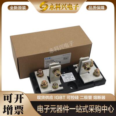 巴斯曼熔断器170H0069/0235/0236