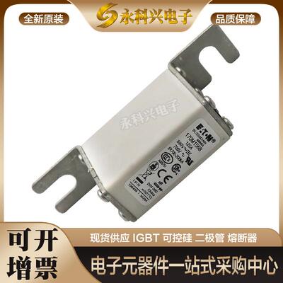 巴斯曼熔断器170M2613/2614/2615