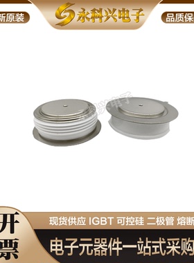 英飞凌控制晶闸管T658N22TOF/24TOF/26TOF/T639N18TOF/20TOF原装