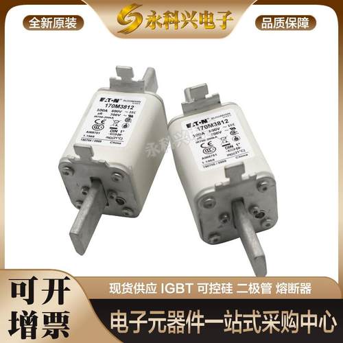 巴斯曼熔断器170M3444/3445/3446