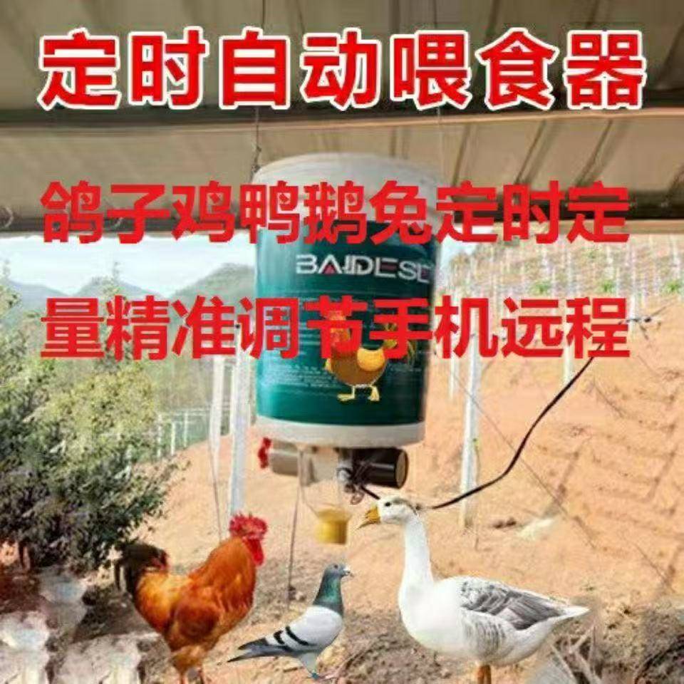 家禽自动喂食器鸽子鸡鸭定时喂食器全自动自动投料机喂鸡宠物喂食