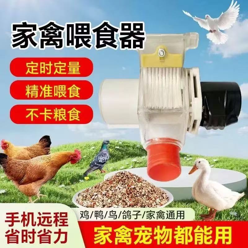 远程wifi控制开关定时喂食器鸽子鸡鸭信鸽食槽定时家禽自动喂食器