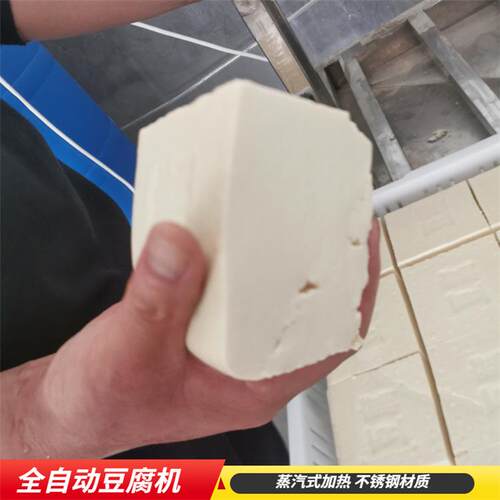 家用豆腐机不锈钢豆腐机中小型自动化豆腐设备豆腐一体机