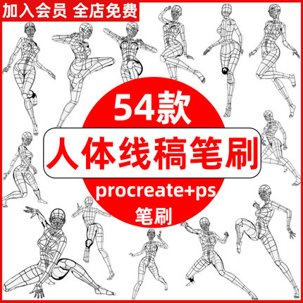 ps笔刷procreate笔刷女性人物线稿人体结构姿势动作辅助线临摹
