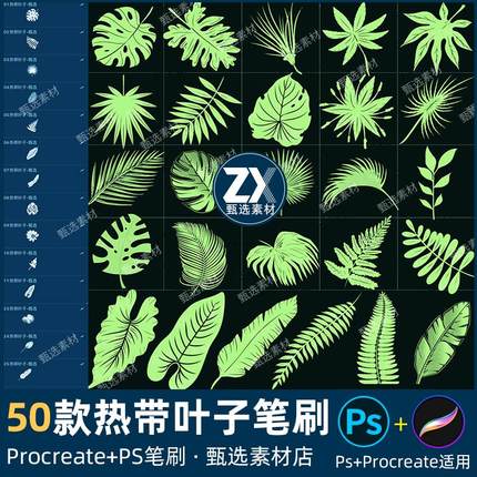 ps笔刷procreate笔刷芭蕉叶热带植物树叶子景观盆栽装饰剪影水印