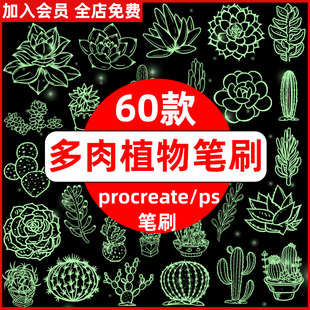 ps多肉植物笔刷仙人掌仙人球盆栽盆景园艺花艺素材procreate笔刷
