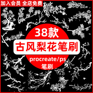 手绘唯美古风水墨梨花梨树枝条花瓣花卉线稿植物procreate+ps笔刷