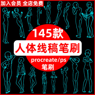 手绘线稿人物少女女性肢体动作人体辅助线ps/procreate笔刷素材