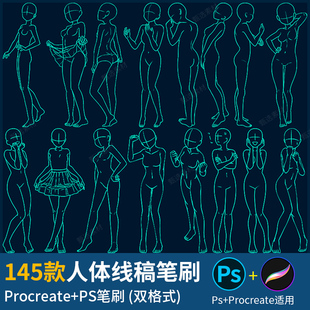 手绘线稿人物少女女性肢体动作人体辅助线ps/procreate笔刷素材