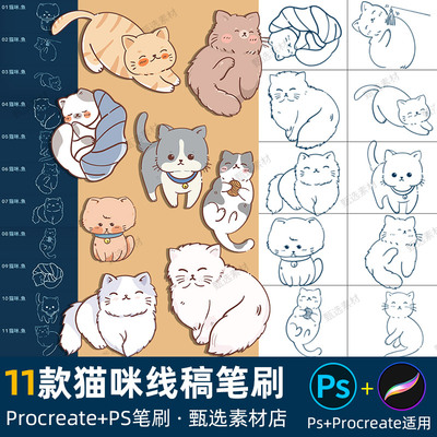 ps笔刷Procreate笔刷可爱卡通小猫手绘猫咪动物插画辅助线稿图片