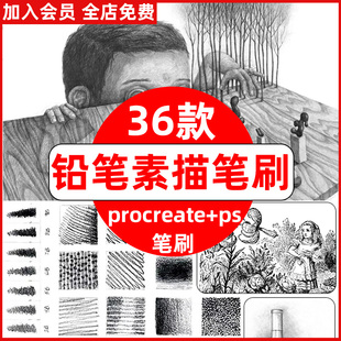procreate笔刷2B铅笔素描排线速写漫画起稿草图ps绘画炭笔石墨
