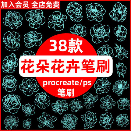 procreate笔刷手绘线稿牡丹花花卉鲜花朵图案插画ps笔刷画笔素材