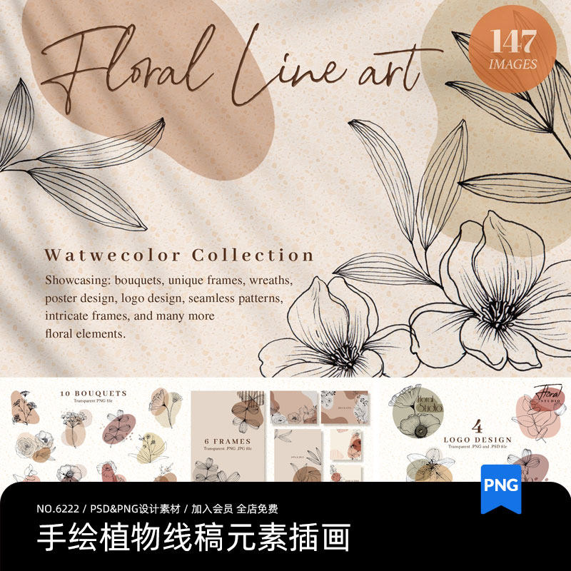 手绘植物花朵花卉花纹线稿线描插画装饰元素png免扣psd设计素材