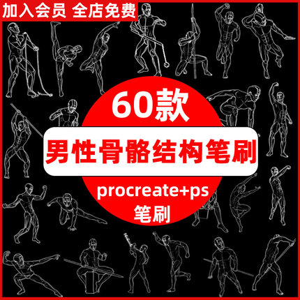 ps笔刷procreate笔刷男性结构辅助线稿男生运动人体骨骼肌肉手绘