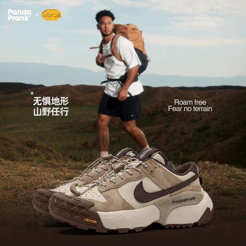 熊猫恶作剧NikeDunk徒步鞋PTS