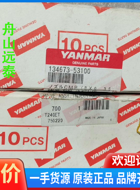 议价/油嘴T240E134673-5310020