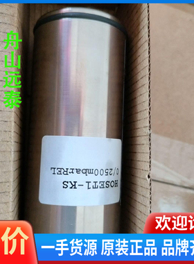 议价/HOPPE 压载探头Hoset1--kS  0/2500mb