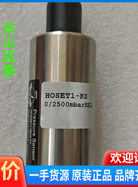 议价~HOPPE 压载探头Hoset1--kS 0/2500mb