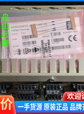 议价/康士伯数字政府 DGU 8100272