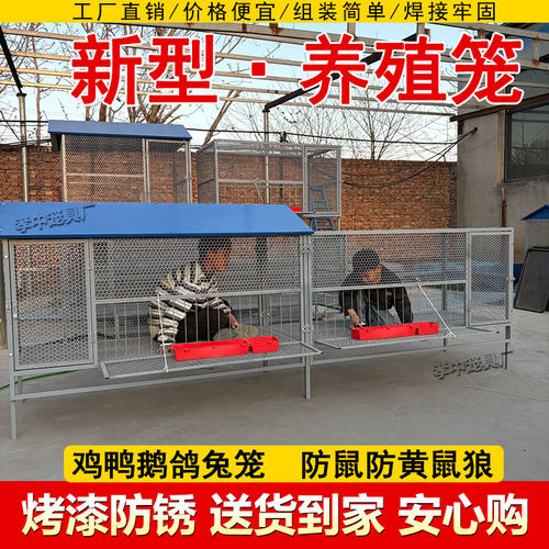 家禽养殖笼鸡鸭鹅鸽子兔子小狗都可用防锈烤漆金属网笼子阳台养鸡