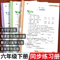 六年级下册同步练习册语文数学英语练习题人教版北师大版苏教版上册语数英专项训练小学课本练习试卷测试卷全套书一课一练53天天练