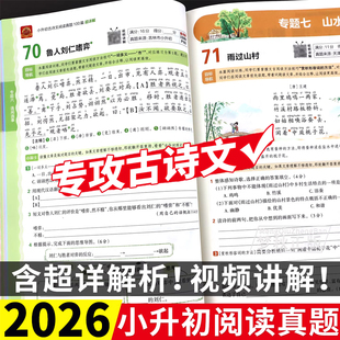 2025 小升初古诗词和文言文阅读真题训练初中必背六年级小升初总复习人教版真题卷必刷题时文一本语文阅读理解专项训练书母题100篇