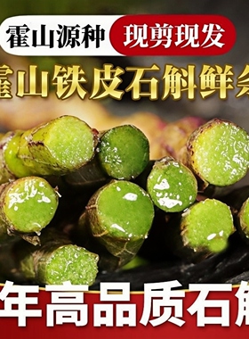 正宗安徽霍山铁皮石斛鲜条内山林下特优5年正品养生新鲜石斛条