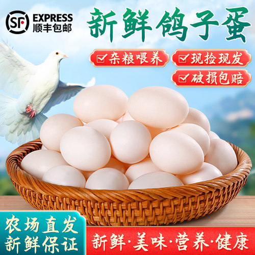 新鲜鸽子蛋750g超大个头