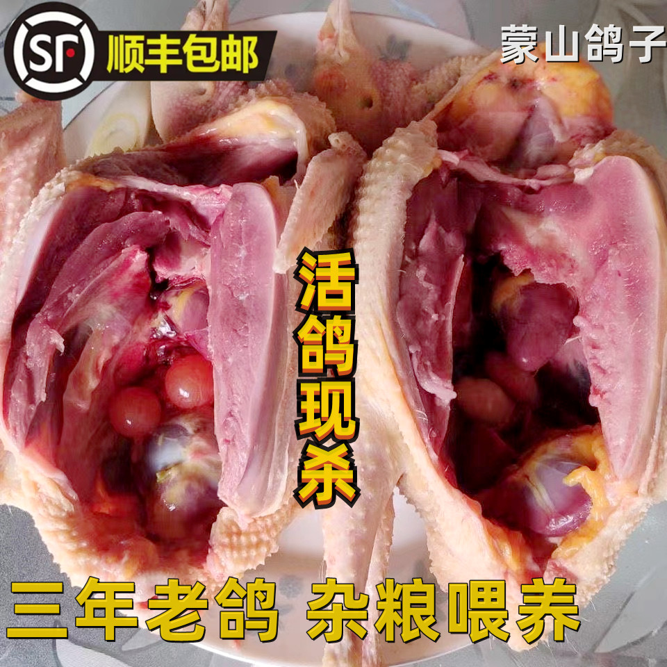 三只新鲜现杀三年五年老鸽子散养信鸽乳鸽杂粮喂煲汤滋补净重7两