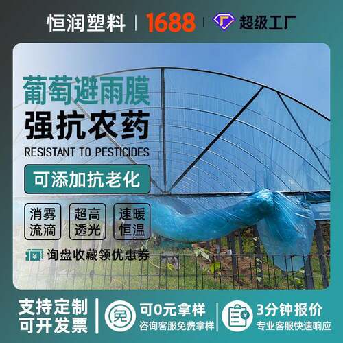 葡萄用棚膜 PE农用塑料薄膜 大棚膜 葡萄避雨膜 葡萄连拱小棚膜