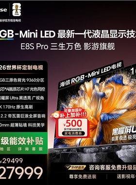 Hisense/海信 100E8S-PRO