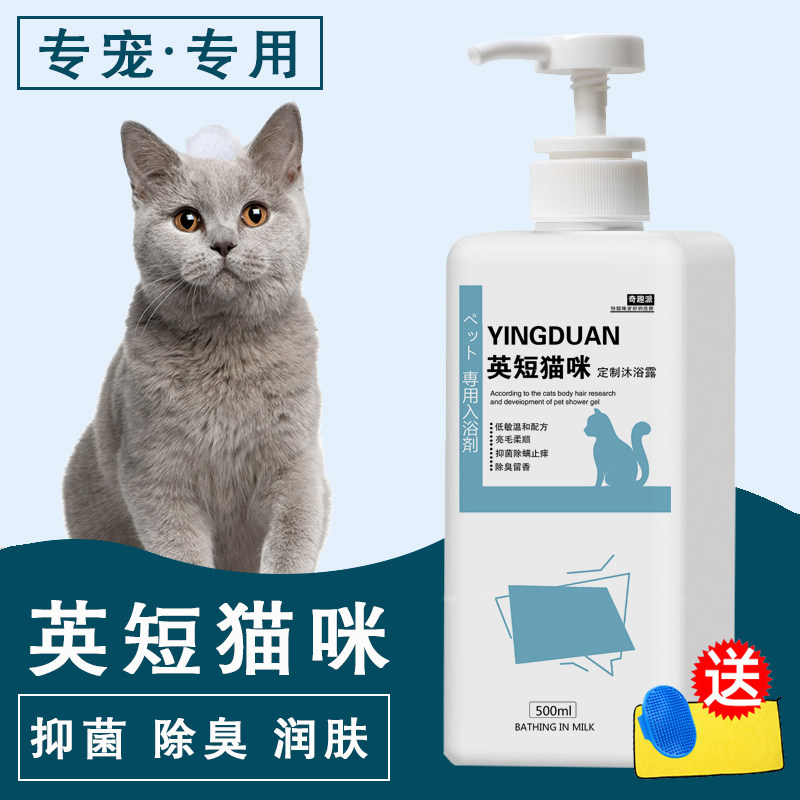 英短蓝猫银渐层杀菌除螨沐浴露