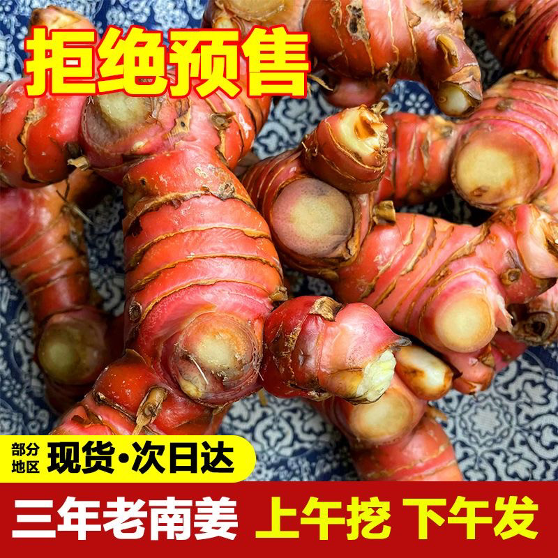 正宗精选潮汕南姜新鲜卤水火锅配料牛羊肉去膻梅粉甘草水果高良姜