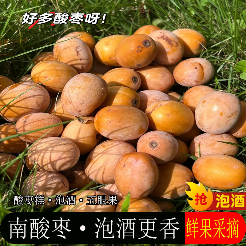 潮州野生南酸枣新鲜现摘