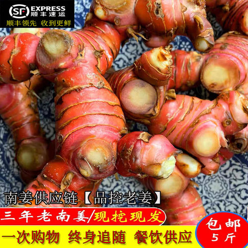 潮汕南姜红皮南姜新鲜山姜