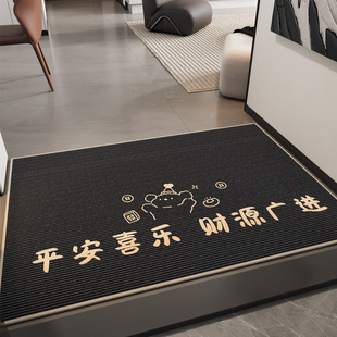 地垫入户门垫耐脏丝圈进门口家用高级感玄关脚垫免洗门外防滑地毯