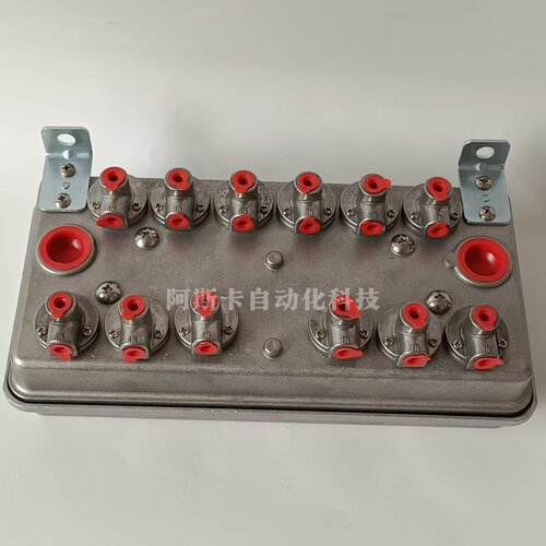12路脉冲阀控制盒 先导式脉冲阀控制盒 RCA3D2先导式脉冲阀控制盒