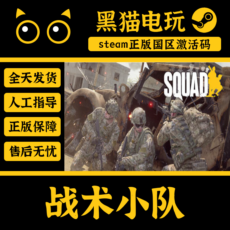 steam 正版 战术小队 Squad 国区 CDKey 激活码 PC端入库 CDKEY