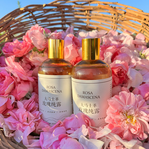 疆小朵大马士革玫瑰纯露