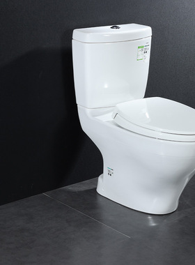 TOTO马桶家用坐便器抽水座便器CW981RB SW981RB直冲加长马桶04-B