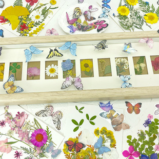 蝶恋花干花压花植物组合 DIY手工滴胶相框台灯扇子押花材料包