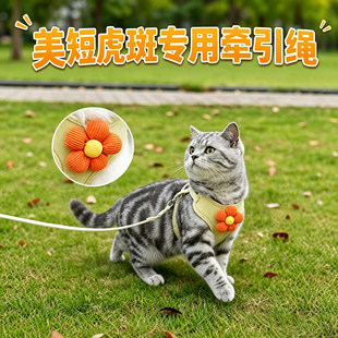美短虎斑专用小猫牵引绳猫咪宠物幼猫防挣脱外出背带可调节款胸背