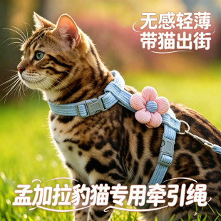 孟加拉豹猫专用小猫牵引绳猫咪宠物幼猫防挣脱外出背带牵猫的绳子