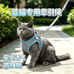 蓝猫专用猫咪牵引绳猫防挣脱小猫外出背带胸背带背心式绳子高颜值