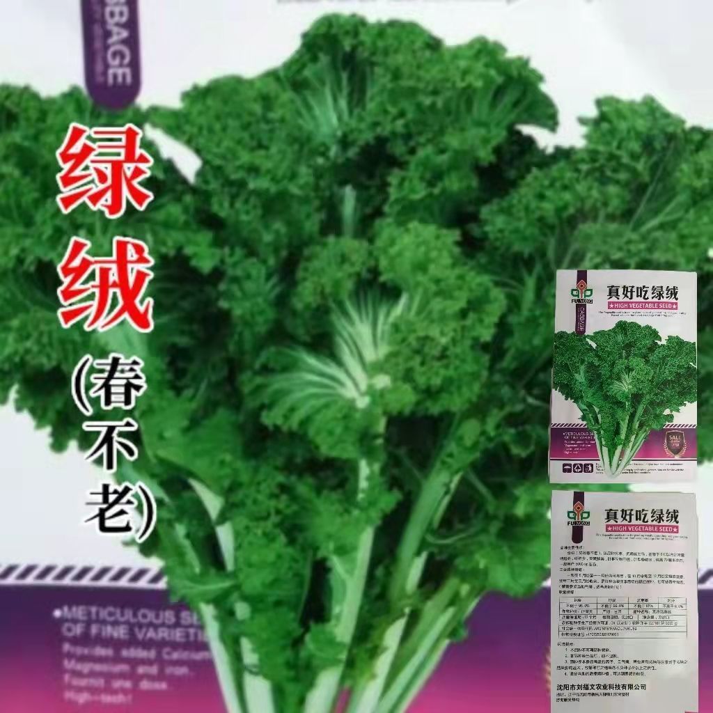 【花叶鸡冠菜种子】绿绒春