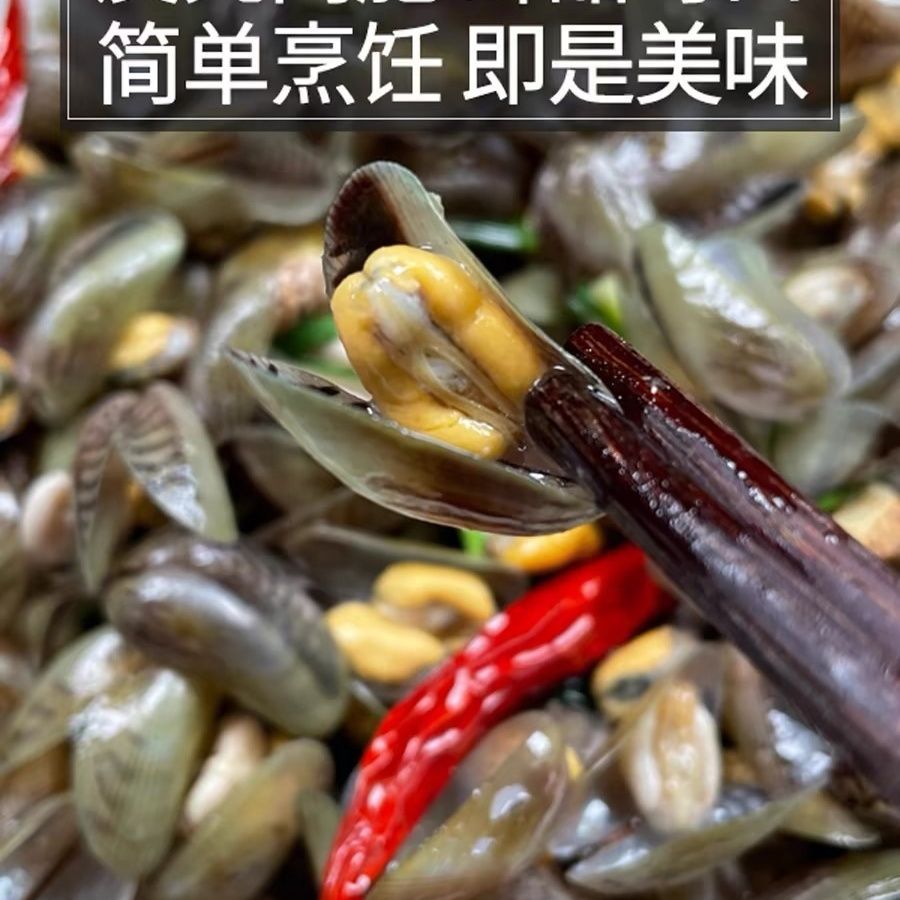 福建漳州鲜活薄壳海瓜子送金不换下酒菜包邮