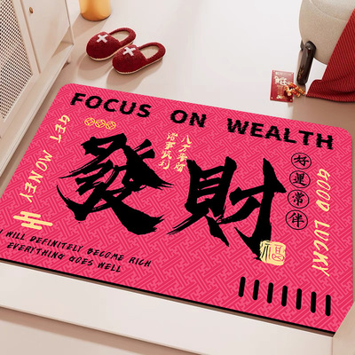 门口地垫入户门垫家用进门高级感脚垫门外耐脏免洗地毯垫